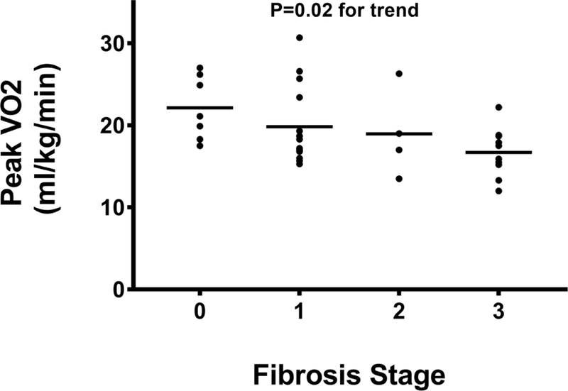 Figure 1B: