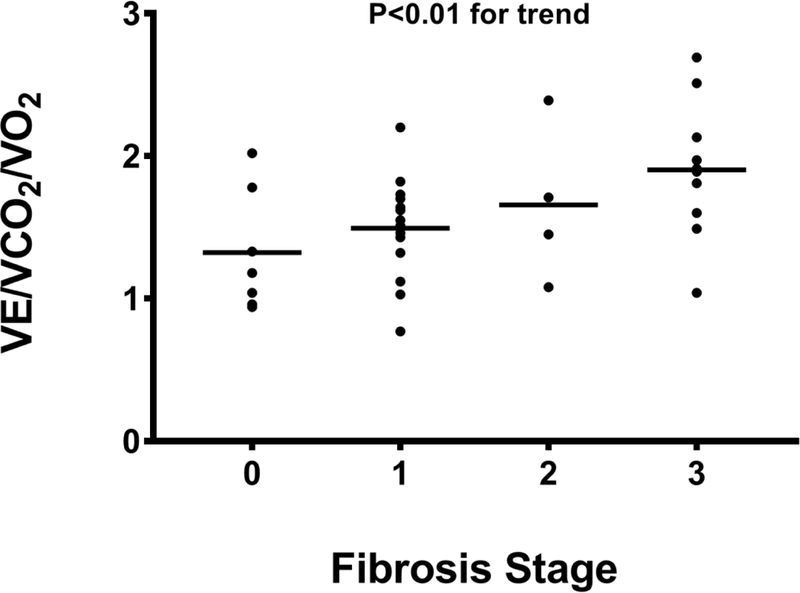 Figure 1E: