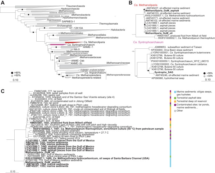 FIG 3