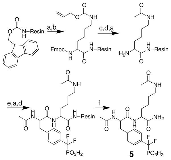 Scheme 6