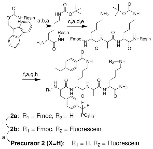 Scheme 4