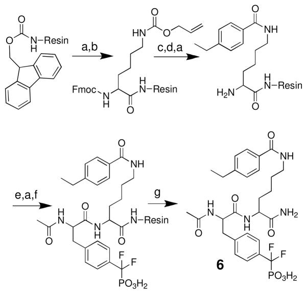 Scheme 7