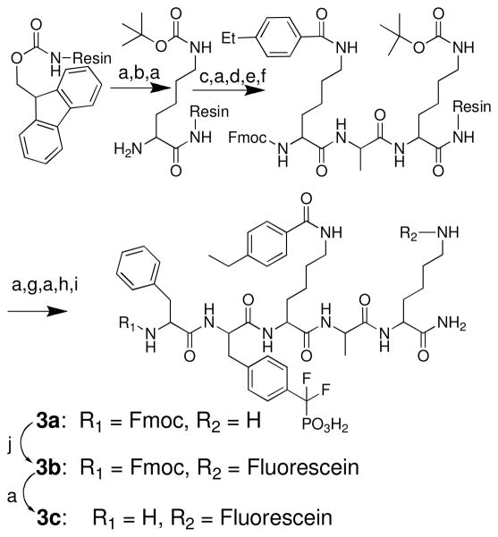 Scheme 5