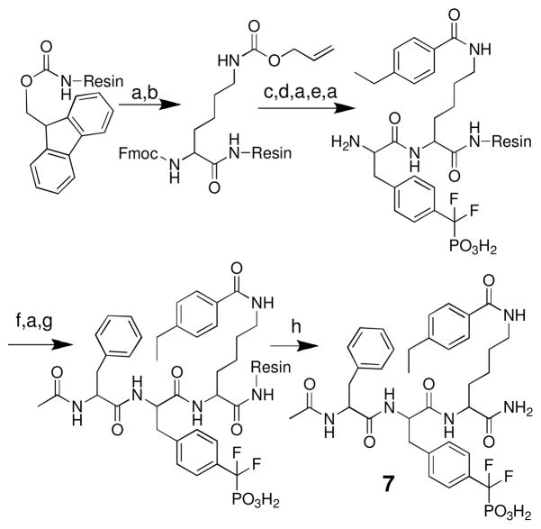 Scheme 8