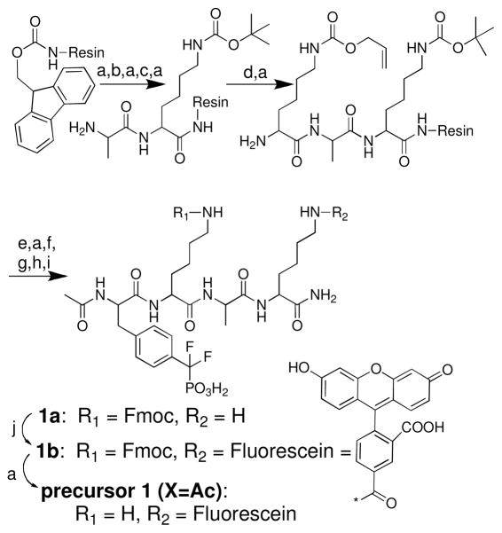 Scheme 3