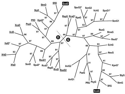 FIG. 6.