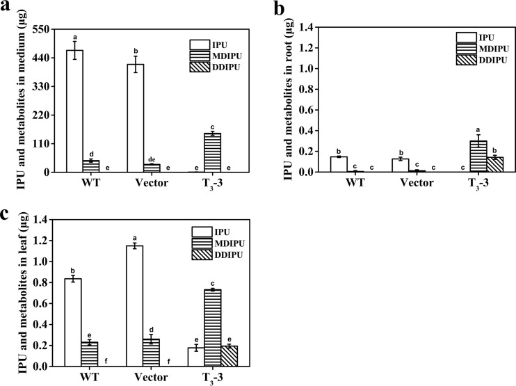 FIG 2