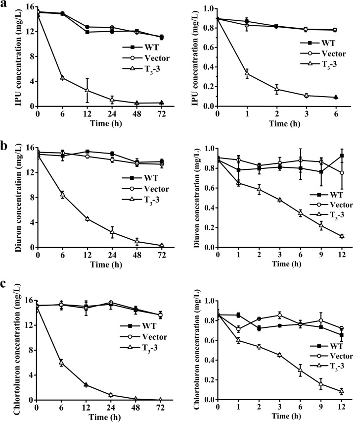 FIG 3