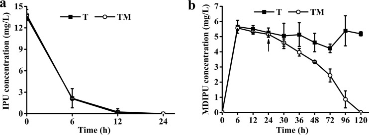 FIG 4