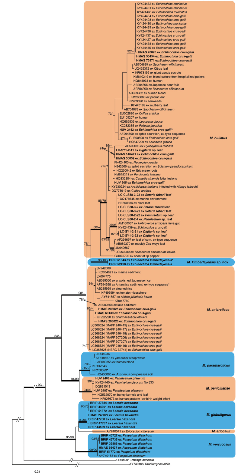 Figure 1.