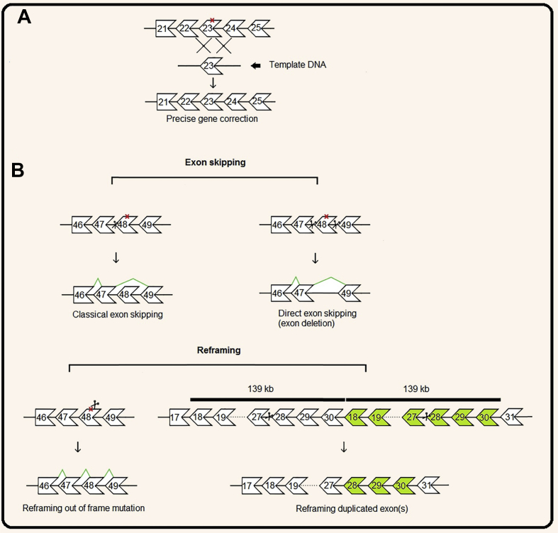 Figure 3