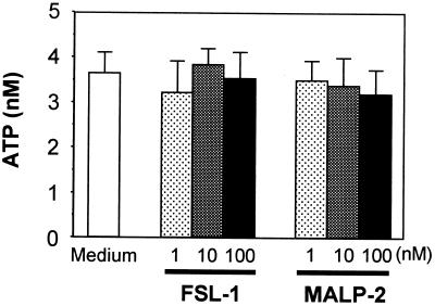 FIG. 8.