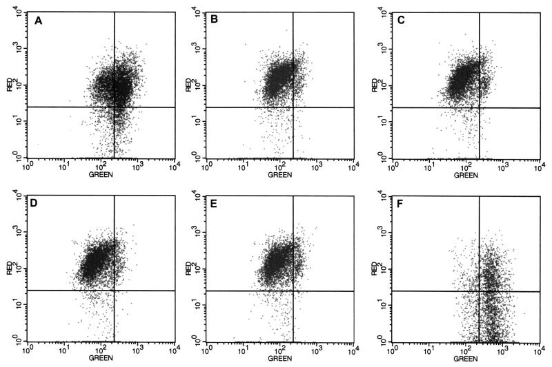 FIG. 3.