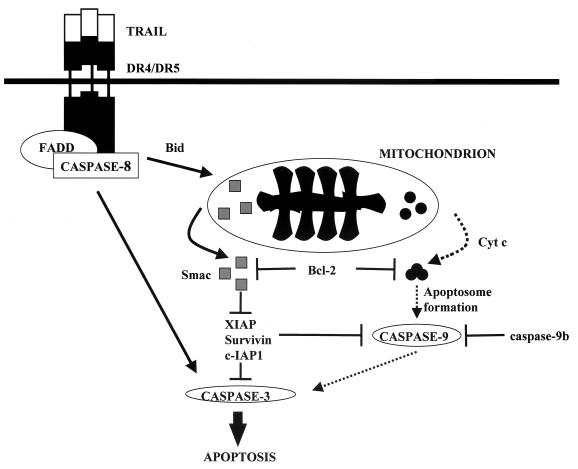 FIG. 9.