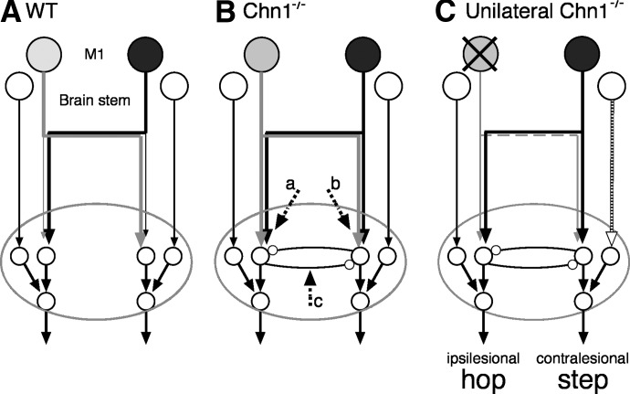 Fig. 10.