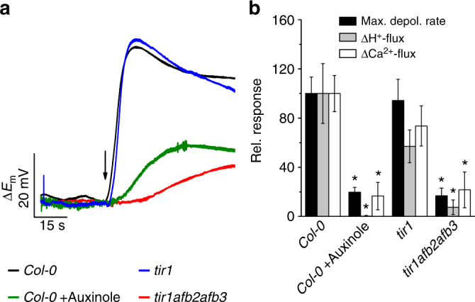 Fig. 4