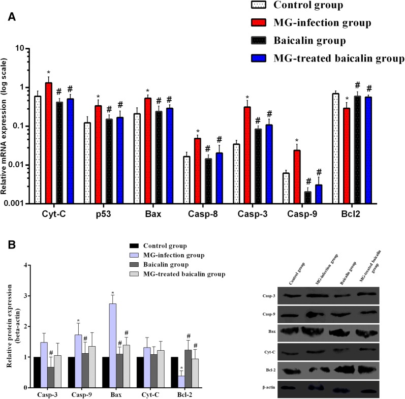 Figure 6