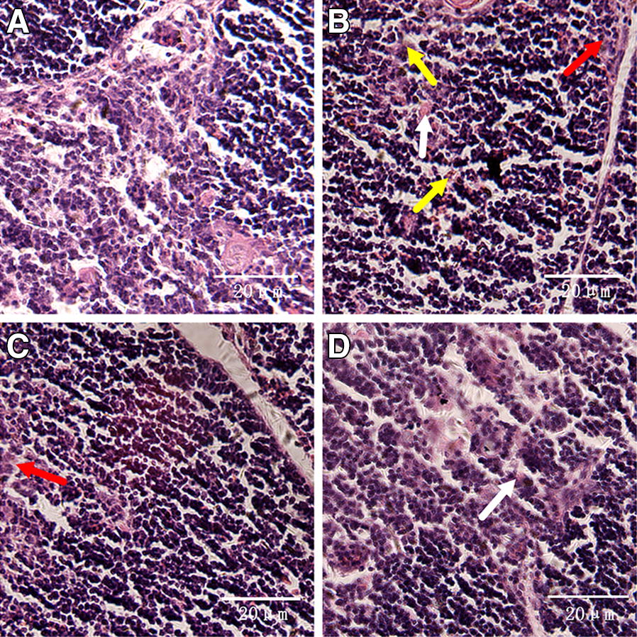 Figure 2