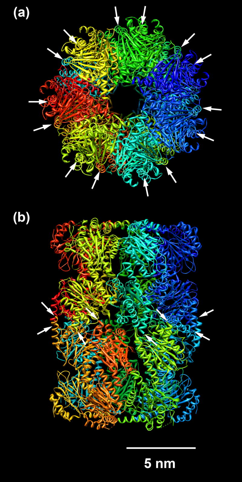 Fig. 1