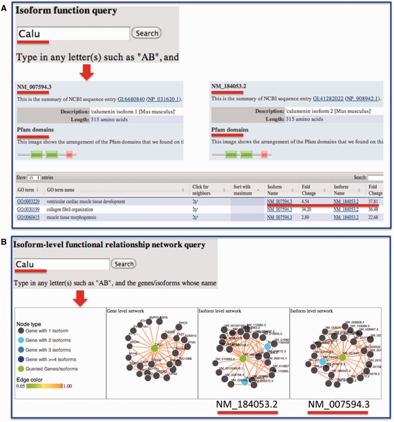 Figure 4.