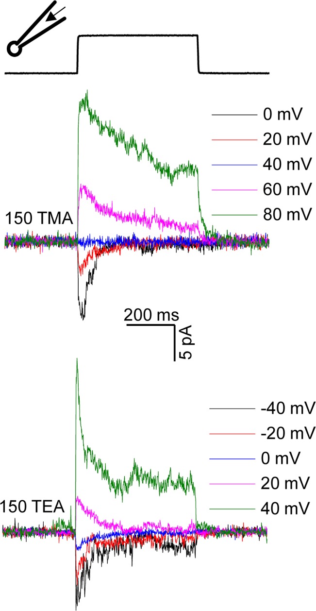 Fig 6