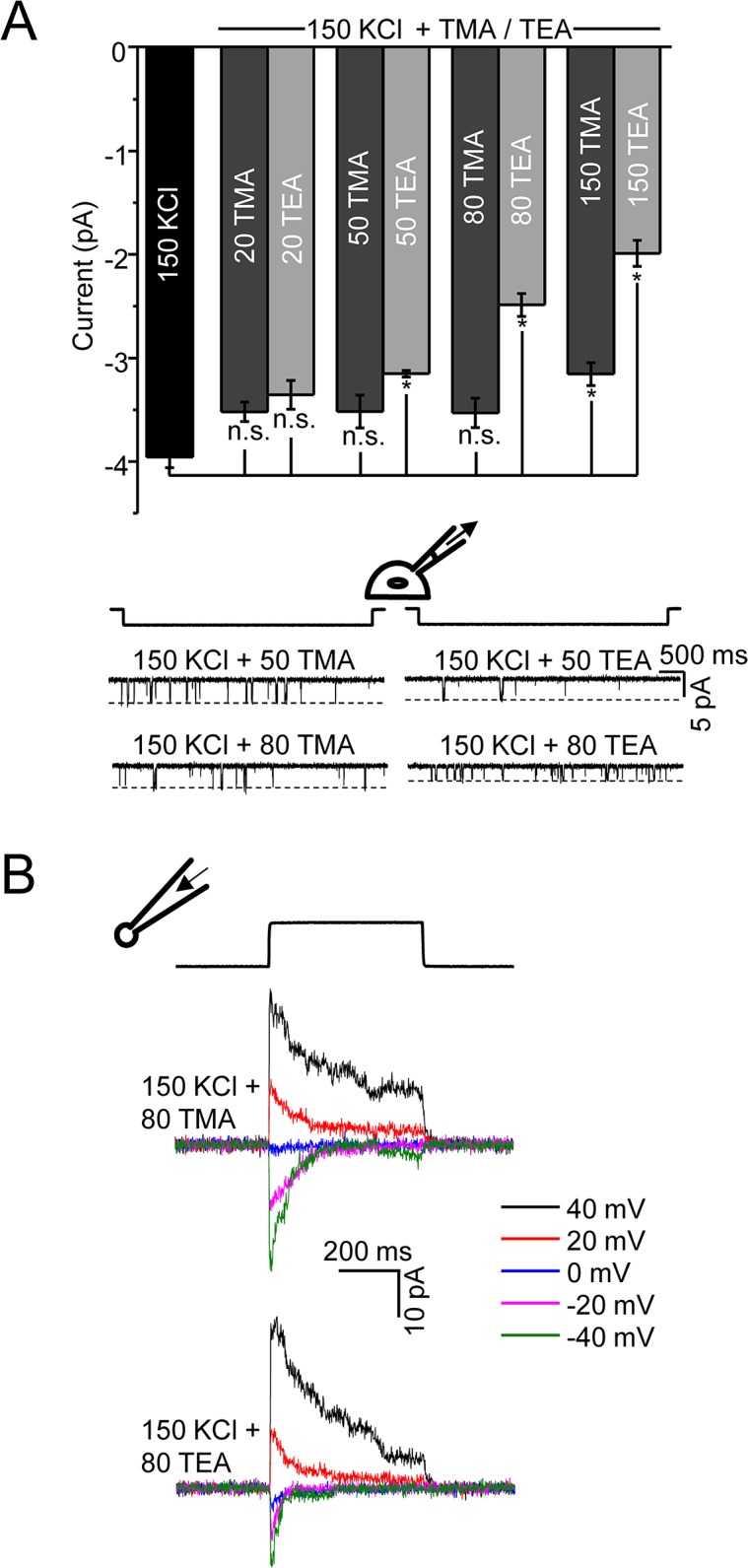 Fig 7