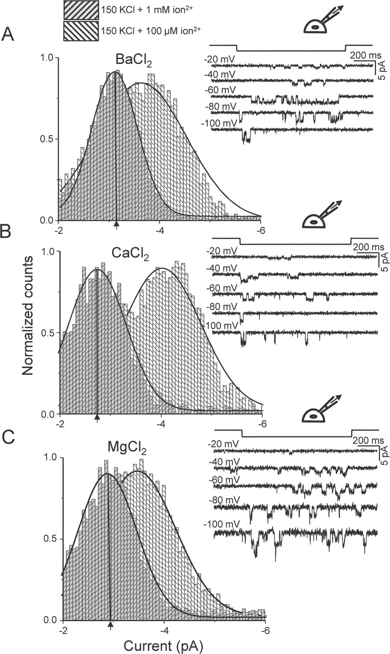 Fig 4