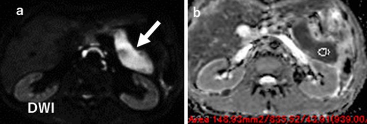 Fig. 7