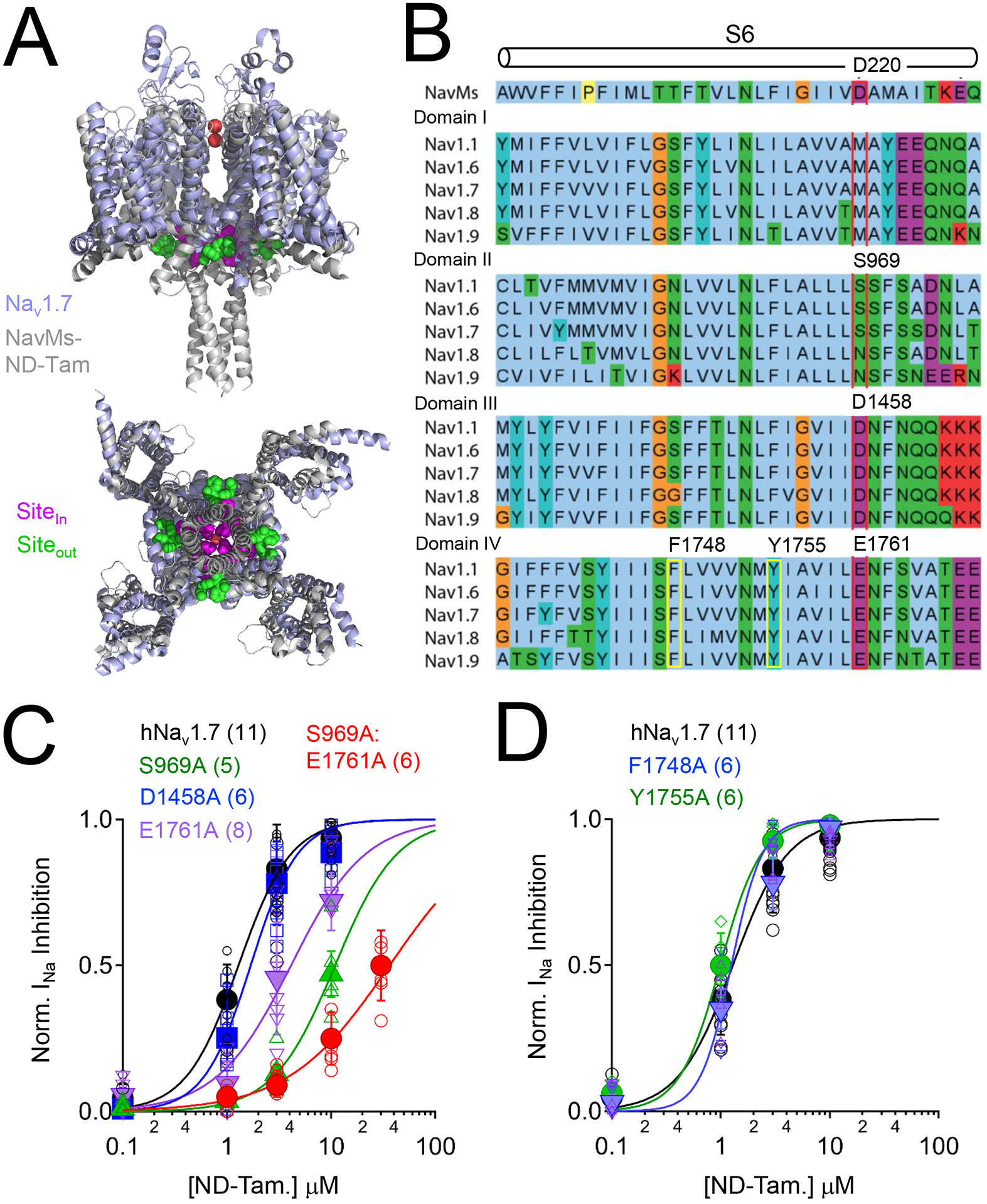 Figure 2.