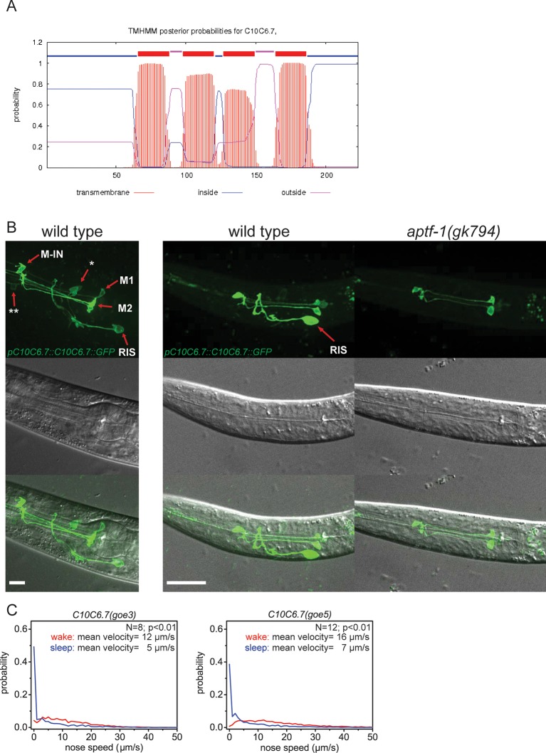 Figure 2—figure supplement 1.