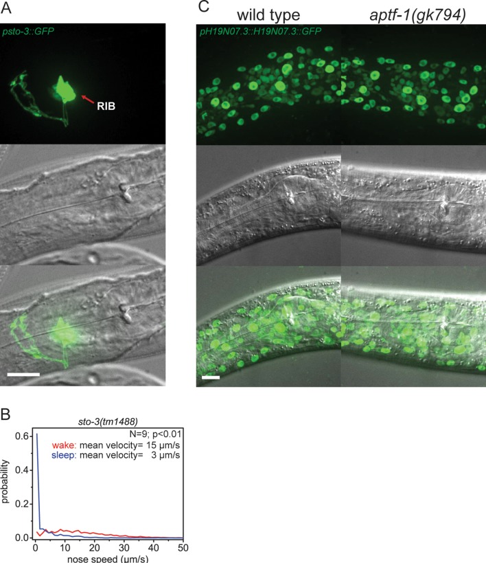 Figure 2—figure supplement 2.