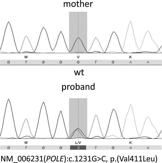 Fig. 2