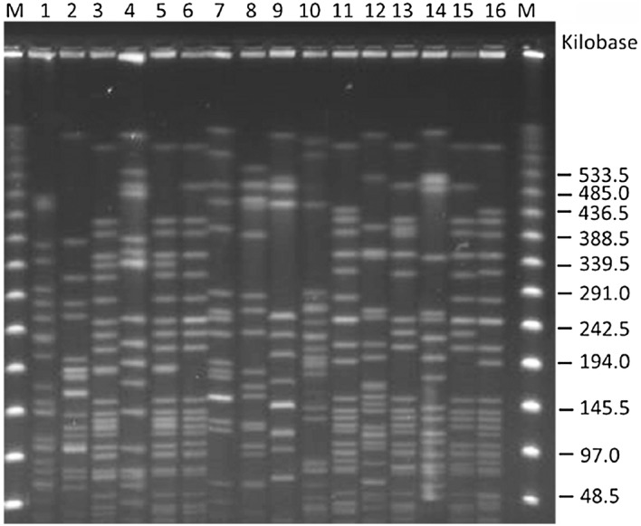 Fig. 2