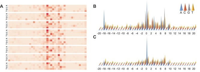 Figure 5