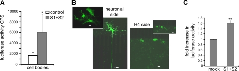 Figure 4.