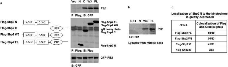 Fig. S6.