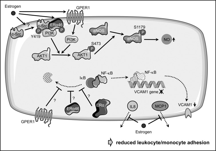 FIG. 9.