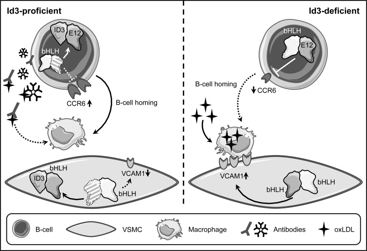 FIG. 7.