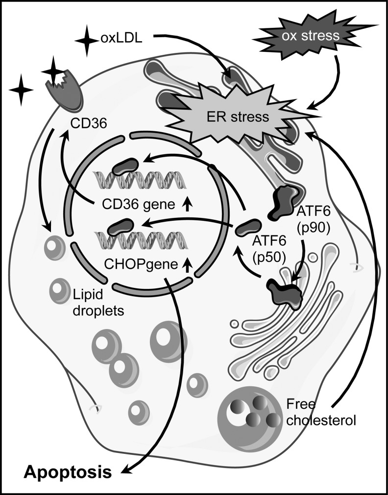 FIG. 8.