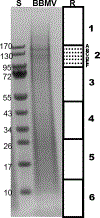 Figure 2: