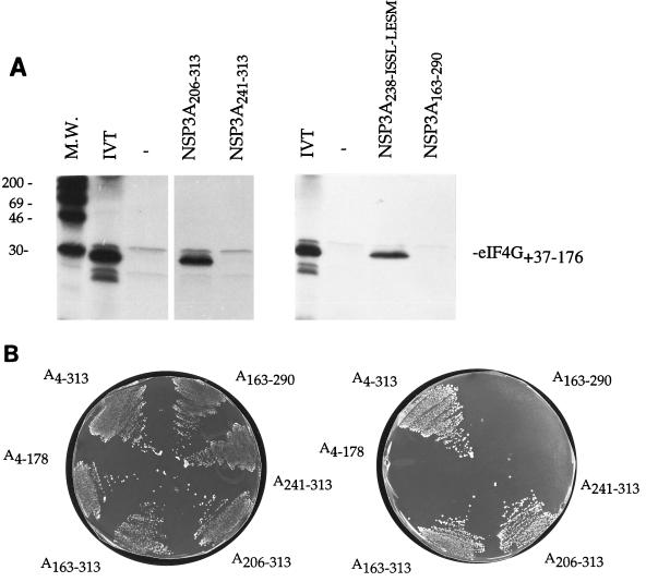 FIG. 10