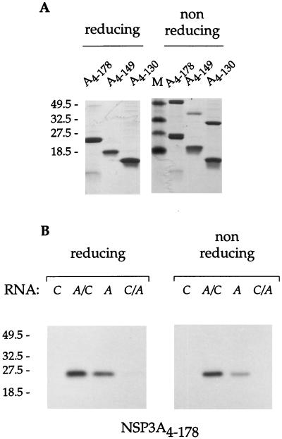 FIG. 5