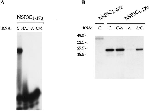 FIG. 3