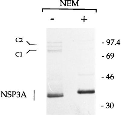 FIG. 8