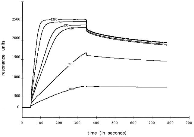 FIG. 7