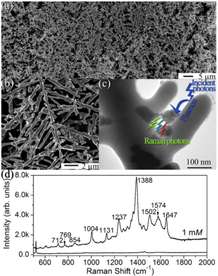 Figure 16