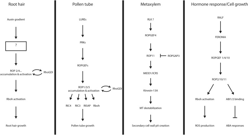 Figure 3.