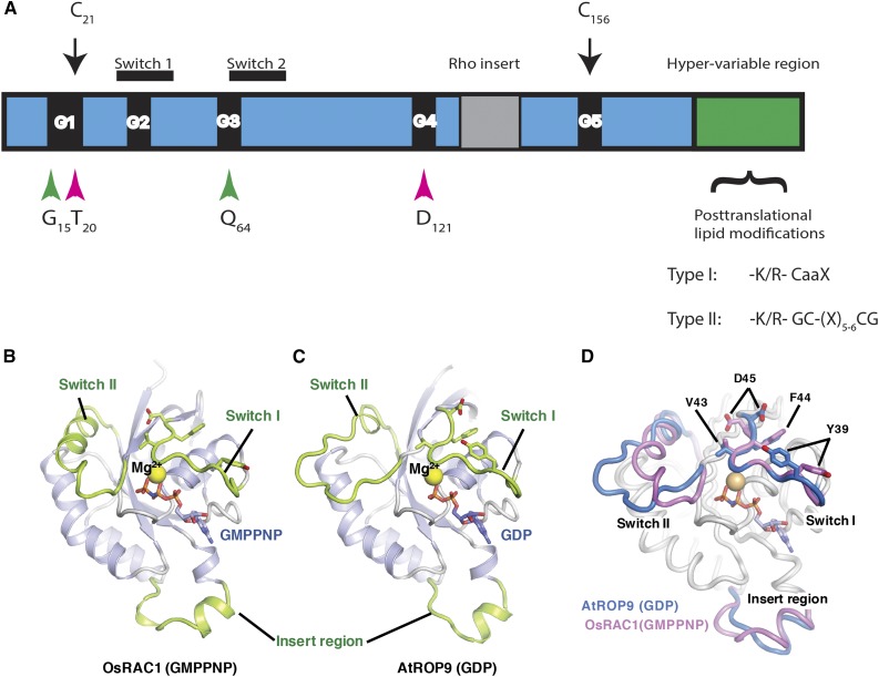 Figure 2.