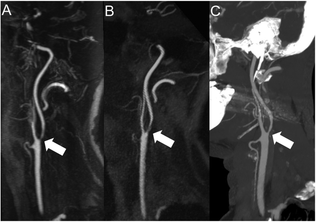 Figure 4: