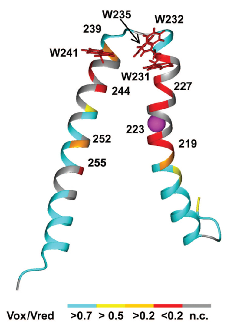 Fig. 8